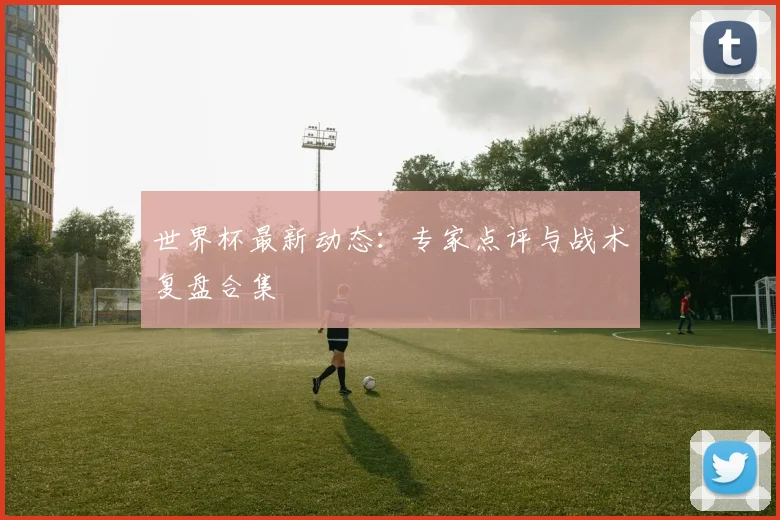 世界杯最新动态:专家点评与战术复盘合集